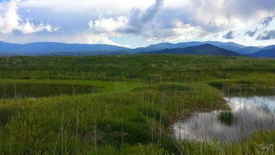/international/us/hart-ranch-dr-lot-36-beulah-co-110101466052/?lang=en