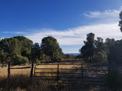 /international/us/tbd-pecos-pecos-nm-110103170067/