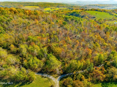/international/us/l39-5-liebig-road-hebron-ny-110108911233/