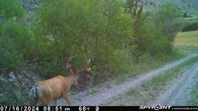 /international/us/1131-outlaw-trail-anaconda-mt-110101812071/
