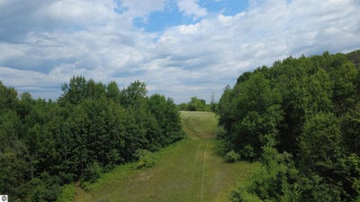/international/us/x-greenwood-road-gladwin-mi-110101258437/?lang=it