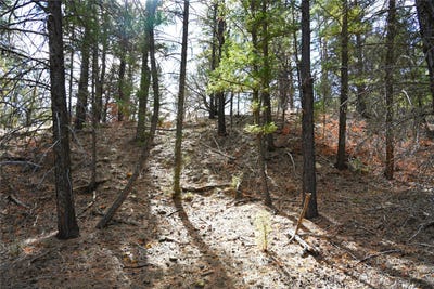 /international/us/00-bear-rd-cr-322-tierra-amarilla-nm-110097355479/