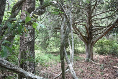 /international/us/tbd-westgate-firehill-road-walterboro-sc-110084512179/