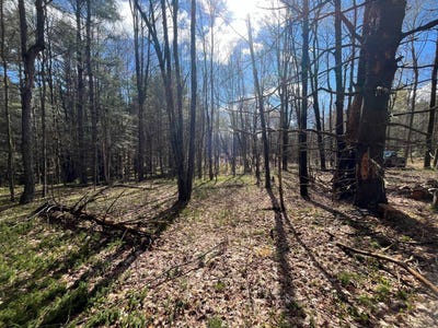 /international/us/00-old-caswell-road-dickinson-center-ny-110108552522/?lang=th