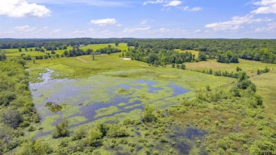 /international/us/12250-cr-3513-brownsboro-tx-110096204713/