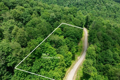/international/us/trailwood-circle-lot-21-bruceton-mills-wv-110108977765/