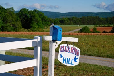 /international/us/696-mapleton-drive-callands-va-110108826049/