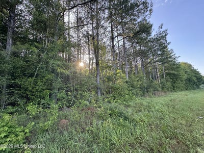 /international/us/n-lot-3-river-road-summit-ms-110108060626/