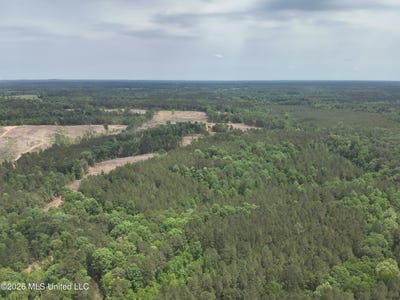 /international/us/smith-county-rd-559-pulaski-ms-110107782838/
