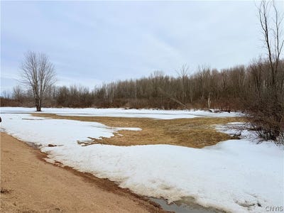 /international/us/buttermilk-flat-road-la-fargeville-ny-110110355835/