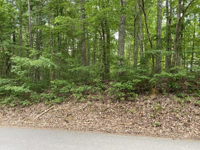 /international/us/fawn-circle-lot-267-dunlap-tn-110104817349/