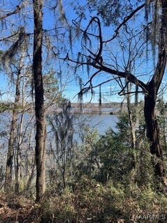 /international/us/lot-2-prairie-bluff-drive-catherine-al-110097906810/