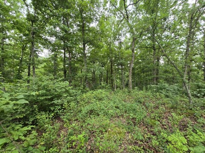 /international/us/tbd-county-road-481w-cross-timbers-mo-110100916705/