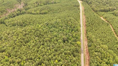 /international/us/county-road-33-lot-0-fruithurst-al-110119915708/
