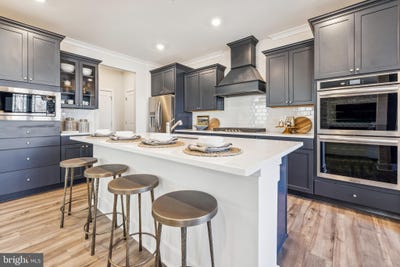 /international/us/2145-winterberry-lane-cambridge-md-110106736447/