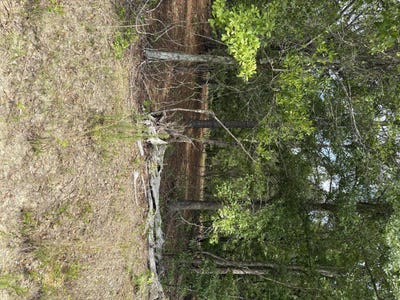 /international/us/warbonnet-road-lot-e-salley-sc-110120415204/