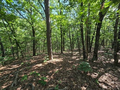 /international/us/85-tbd-poteau-mountain-heavener-ok-110108490364/