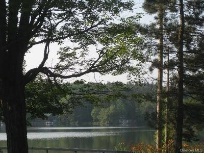/international/us/157-lake-avenue-ny-110119623051/