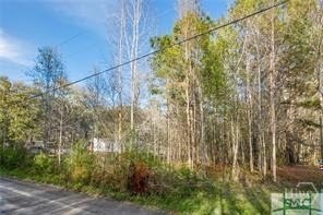 /international/us/0-marie-lot-2-marie-avenue-midway-ga-110106974391/