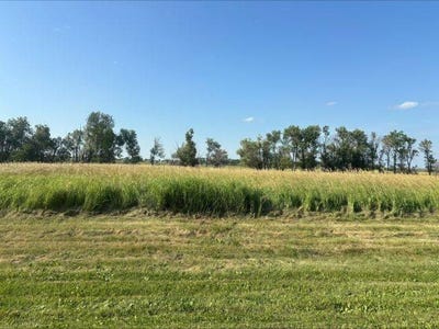 /international/us/1500-5th-ave-n-new-rockford-nd-110107081861/