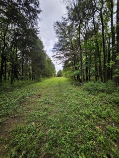 /international/us/w-dade-2-jerico-springs-mo-110108028674/