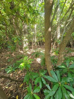 /international/us/edgeview-dr-lot-21-meadows-of-dan-va-110101813905/
