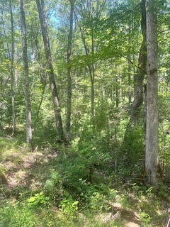 /international/us/sunshine-lane-white-oak-wv-110101122222/?lang=zh-cn