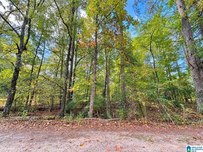 /international/us/hickory-hollow-lot-4-wedowee-al-110120084407/