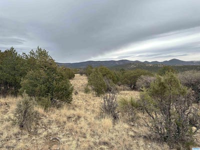 /international/us/xyz-ranch-road-silver-city-nm-110090077041/?lang=zh-tw