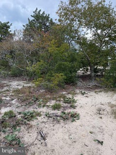 /international/us/pintail-avenue-lot-9-milton-de-110120066862/