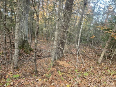 /international/us/w-cider-mill-lane-lot-1-swanville-me-110120721644/