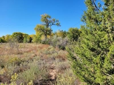 /international/us/county-road-97-chimayo-nm-110107383476/