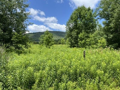 /international/us/narrow-notch-road-hobart-ny-110105385205/