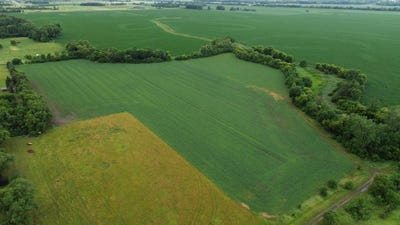 /international/us/255th-street-renner-sd-110099819863/