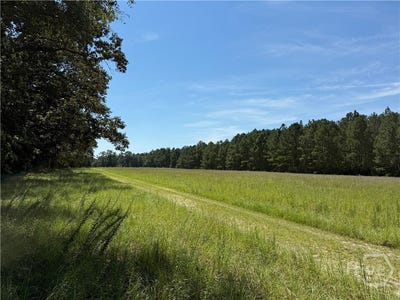 /international/us/sunbury-road-claxton-ga-110105936586/