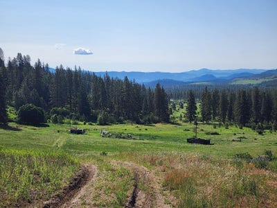/international/us/xxx-hall-creek-rd-inchelium-wa-110101339074/?lang=en