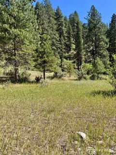 /international/us/lot-23-southfork-rd-garden-valley-id-110100983071/