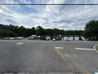 /international/us/4001-cogswell-avenue-pell-city-al-110097019227/