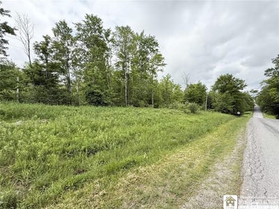 /international/us/luce-road-bemus-point-ny-110108573104/?lang=it
