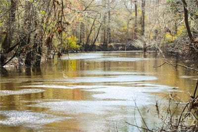 /international/us/tillman-eason-road-claxton-ga-110105861162/