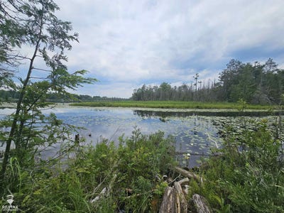 /international/us/spile-dam-millersburg-mi-110101063753/?lang=zh-tw