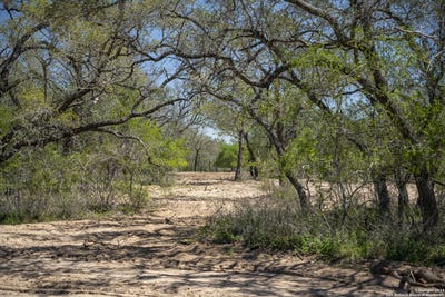 /international/us/2731-county-road-770-natalia-tx-110104845259/