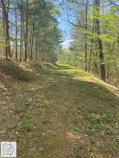 /international/us/oak-hollow-rd-lot-2-woolwine-va-110098964847/