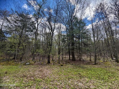 /international/us/pleasant-mount-drive-forest-city-pa-110107995500/