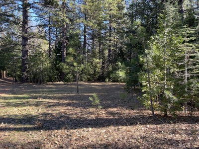 /international/us/emigrant-trail-shingletown-ca-110101028257/?lang=zh-tw
