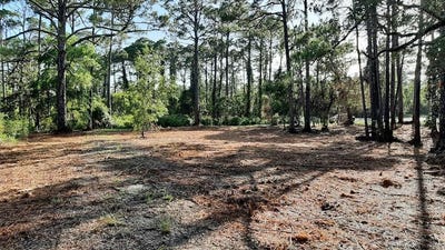 /international/us/2970-pristine-dr-carrabelle-fl-110105724747/