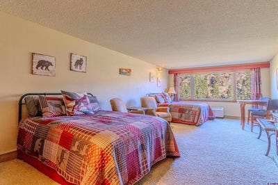/international/us/314-n-tamarron-dr-durango-co-110107281670/