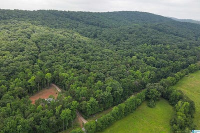 /international/us/lot-1-highway-25-columbiana-al-110100243916/