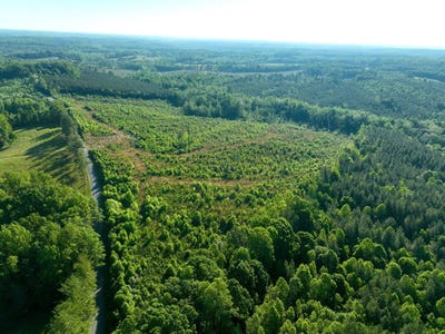 /international/us/0-mt-tabor-road-keeling-va-110108195742/