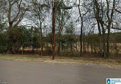 /international/us/4-15-end-of-canterbury-road-montevallo-al-110108149944/